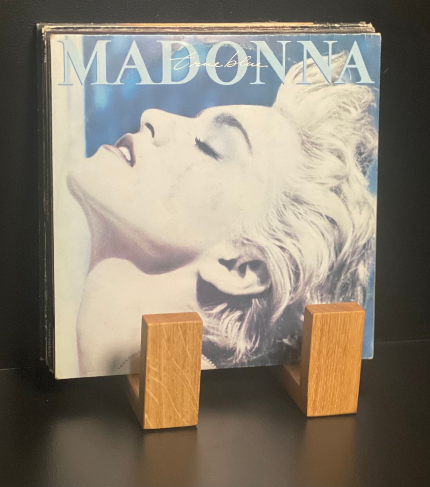 Półka na płyty winylowe z dębu